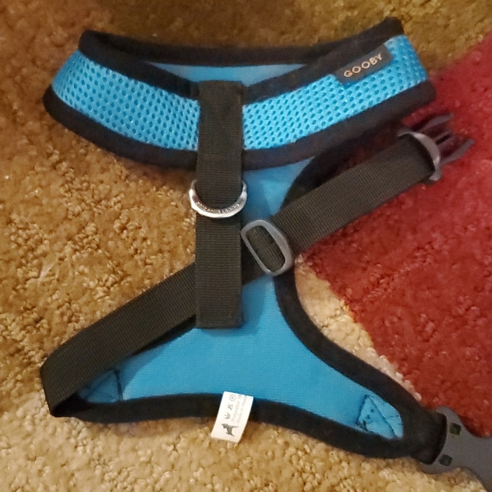 GOOBY TURQUOISE SMALL DOG HARNESSES - Picture 2 of 12